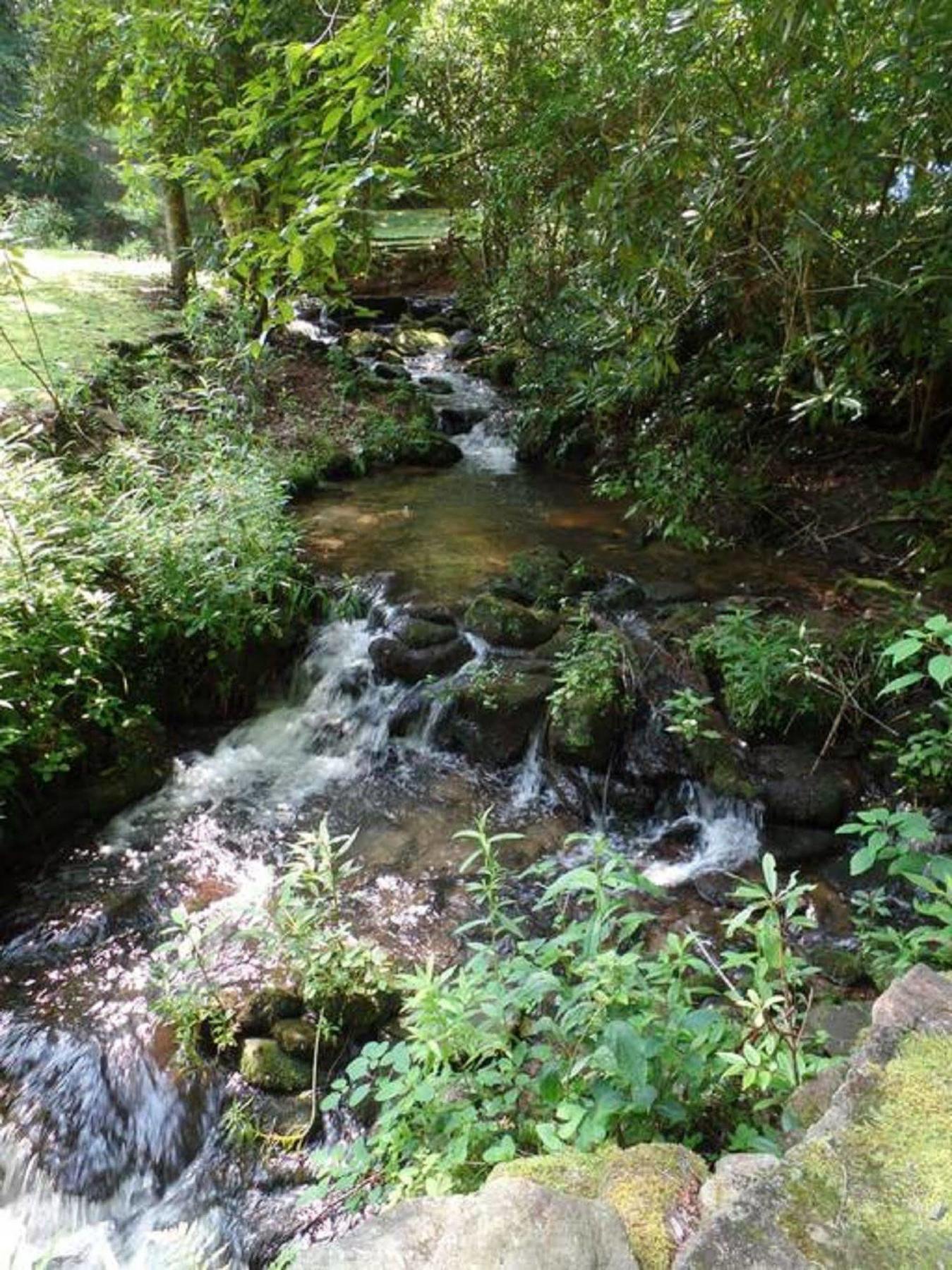 Creekside Paradise Bed And Breakfast Robbinsville Exterior photo